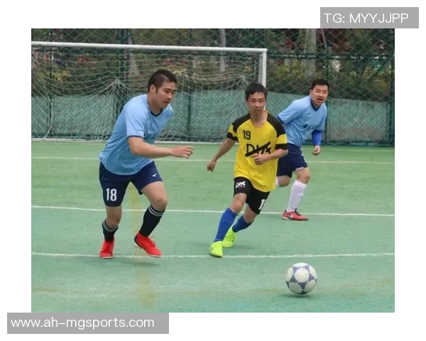 瑞德兰茨联与阳光海岸激战正酣实时比分更新与赛况分析